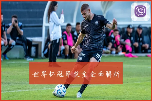 世界杯冠军奖金全面解析